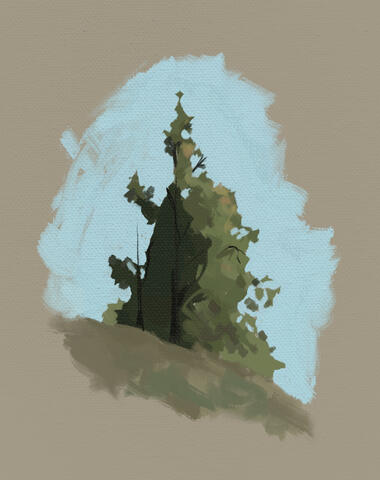 Tree Study 2