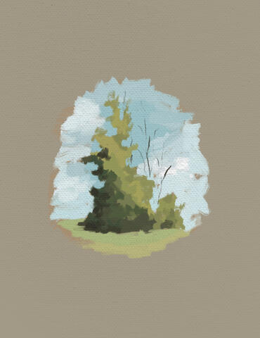 Tree Study 1