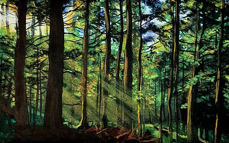 Sunlit Forest