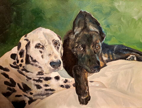 Pet Portraits